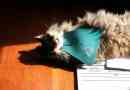 Hoe werkt een kattenslabbetje?