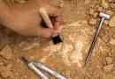 Wat zijn de praktische toepassingen van paleontologie?