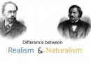 Wat is het verschil tussen realisme en naturalisme in de literatuur?