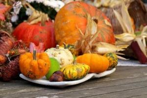 Verschil tussen amerikaanse en canadese thanksgiving