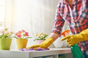 Hoe u uw huis kunt desinfecteren tegen bacteriën en virussen