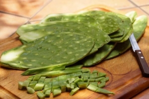Hoe zich te ontdoen van cactus slime