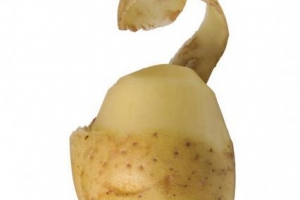 Hoe te weten of aardappelen slecht zijn?