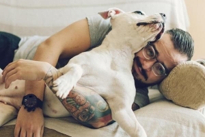 Hoe weet u of uw pitbull raszuiver is - onfeilbare eigenschappen?