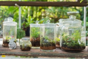 Hoe maak je een goedkoop terrarium?