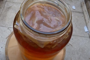 Hoe kombucha-thee thuis te maken?