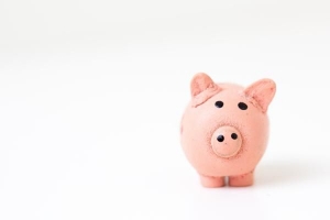 Hoe u geld kunt verdienen tot betaaldag