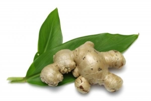 Hoe gemberwortel in een pot te planten?