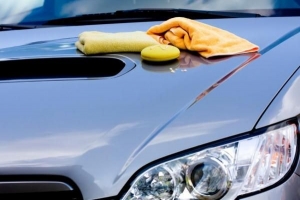 Hoe pijnboomsap uit uw auto te verwijderen?