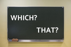 Hoe het woord 'welke' in een zin te gebruiken?