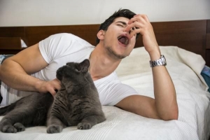 Ik ben allergisch voor katten, maar ik hou van ze - wat te doen?
