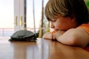 Wat zijn de beste huisdieren voor kinderen met astma?
