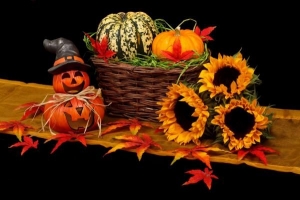 Wat te doen als het regent op halloween