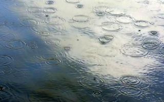 Hoe weet je of het gaat regenen?