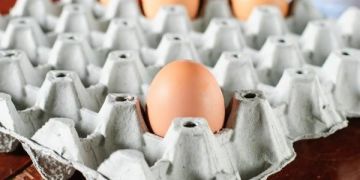 De beste eierdoosambachten - ideeën om eierdozen opnieuw te gebruiken